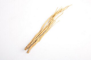 护理个人总结(护理个人总结ppt范文)