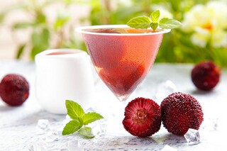 初二物理学期教学计划_初二物理教学工作计划