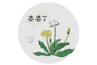中班寻找春天区域活动_中班寻找春天教案