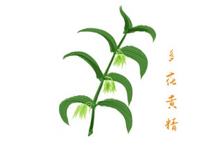 农村集体土地承包合同_农村土地承包合同到期了怎么办
