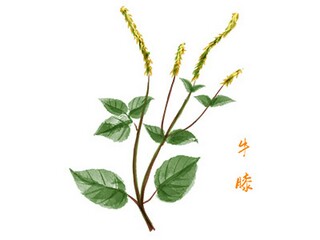 美工辞职报告(3000块美工辞职)