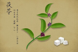 军训周记200-300字_军训周记