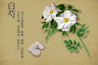 审计的实习报告_审计实习心得体会