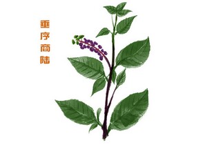 出纳年度考核简洁个人总结_出纳岗位工作内容梳理总结