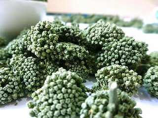 文员应聘简历(文员应聘简历模板)