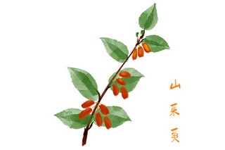 文明过春节的倡议书(文明过春节的倡议书六年级)