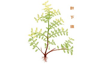 学校疫情防控工作总结_农村疫情防控工作总结