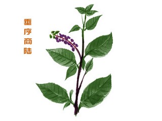 十字文案短句干净_十字干净简单句子