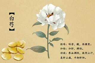 五一的作文600字(作文快乐的五一600字)