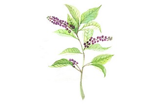 适合天凉了发朋友圈的句子_天凉了适合发朋友圈的句子