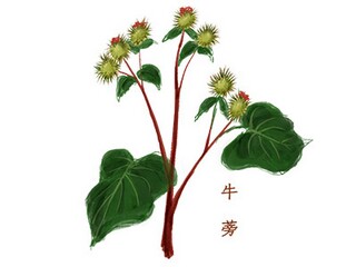 颂竹诗词_颂竹的诗句