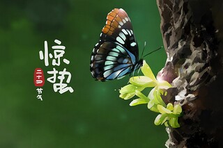 新居的祝贺词(新居祝福词语)