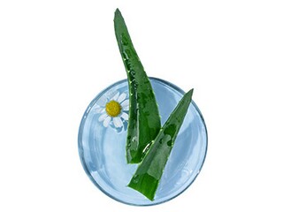 草虫的村落教学视频_草虫的村落教材分析及教学设计