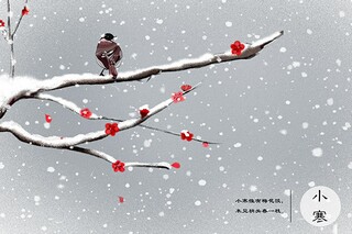 下雪可爱文案(下雪说说文案)