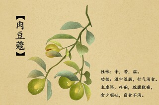 幼儿园大班家长寄语简短精辟文案_幼儿园大班家长寄语