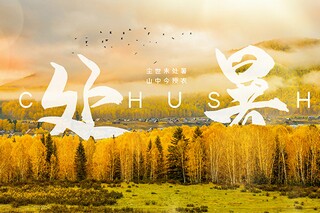 友谊的作文_友谊的作文开头结尾
