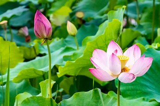 实习自我鉴定范文(实习自我鉴定范文300字)
