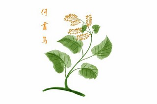 个人求职简历(个人求职简历模板)