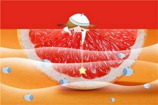 王安石腊梅的诗句_王安石梅