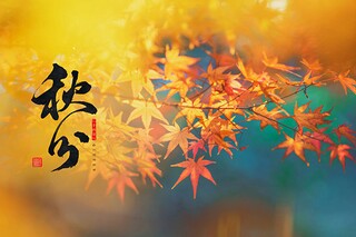 何为持衡拥璇_持衡拥璇成语解释