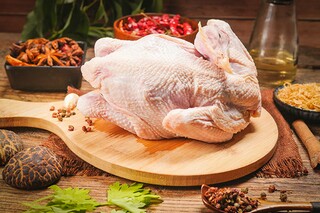 个人简历电子版免费下载_个人简历