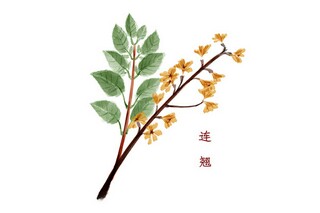 梦想陪伴着我们成长作文(成长路上梦想一直陪伴着作文)