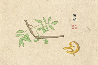 浪漫七夕情人节说说_浪漫七夕情人节说说